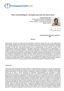 Bases neurofisiol&oacute;gicas y principios generales del control motor