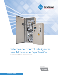 Sistemas de Control Inteligentes para Motores de Baja