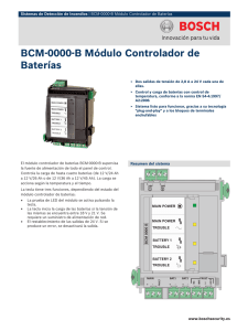 BCM-0000-B Módulo Controlador de Baterías