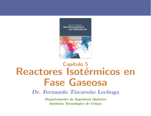 Reactores Isot&eacute;rmicos en Fase Gaseosa