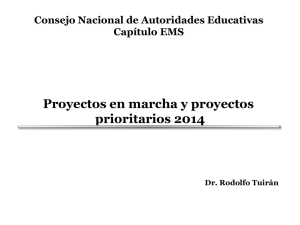 Proyectos en marcha y proyectos prioritarios 2014