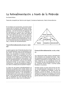 La Retroalimentación a través de la Pirámide