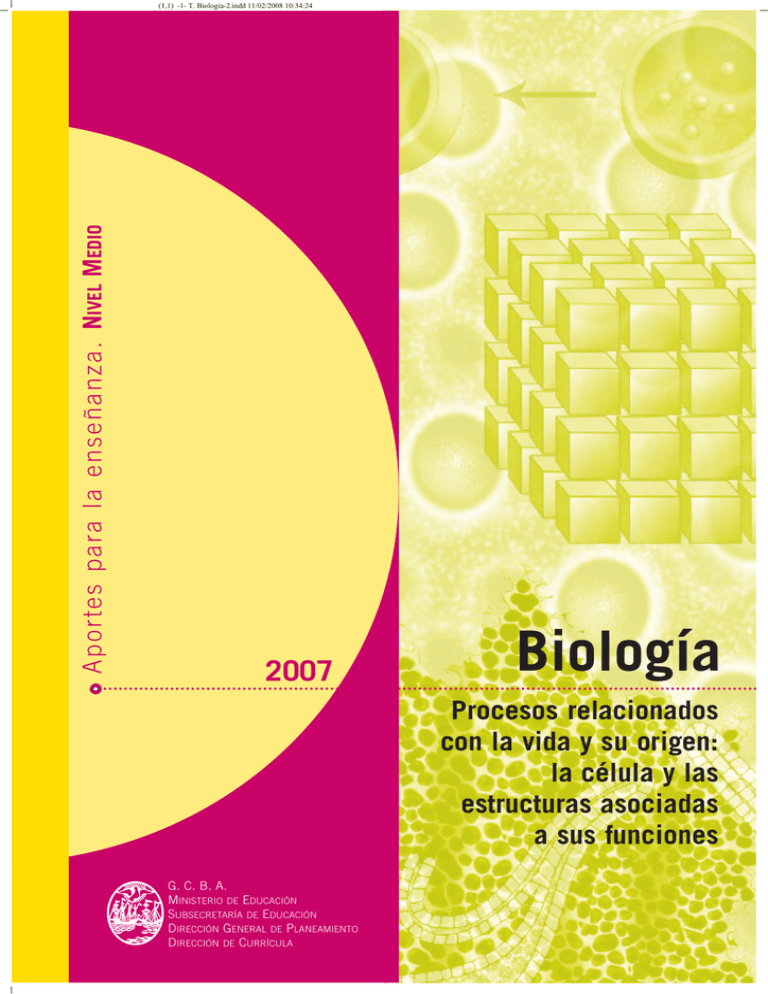 Procesos Relacionados Con La Vida Y Su Origen