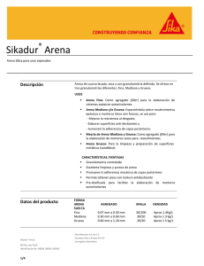 Sikadur Arena - Sika Mexicana