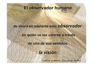 El observador humano, la visión .