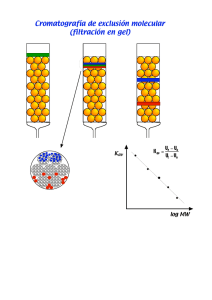 Cromatografía de exclusión molecular (filtración en gel)