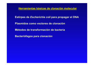 Herramientas básicas de clonación molecular Estirpes de