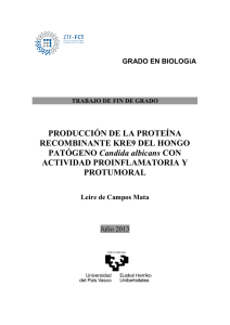Producción de proteínas recombinantes Leire de Campos Mata