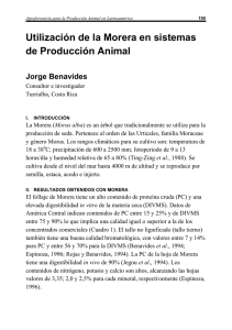 Utilización de la Morera en sistemas de Producción Animal