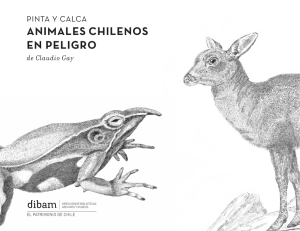 animales chilenos en peligro