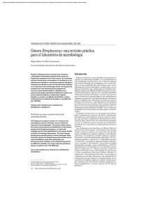 Género Streptococcus: una revisión práctica para el
