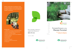 Nuestro Proceso Forestal y sus Impactos Descargar PDF