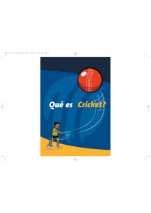 What is Cricket?_Spanish_Web