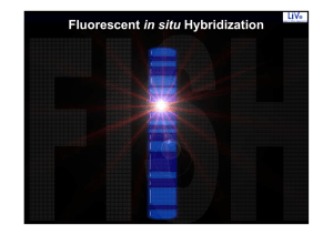 Estrategias de Hibridación in situ Fluorescente para el diagnóstico