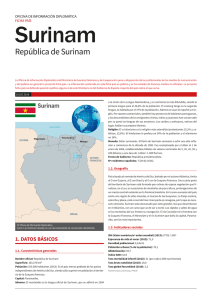 Ficha país de Surinam - Ministerio de Asuntos Exteriores y de