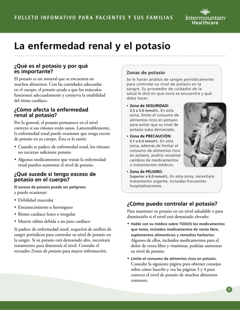 La Enfermedad Renal Y El Potasio 6883