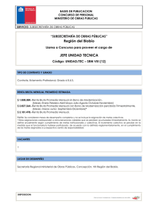 Jefe de Unidad Técnica - Ministerio de Obras Públicas