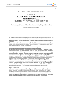 patologia disontogénica cervicofacial. quistes y fistulas