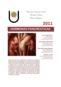 hormon nas pancreat ticas - Facultad de Medicina