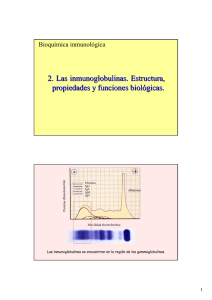 2. Las inmunoglobulinas. Estructura, propiedades y funciones