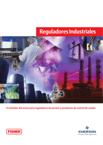 Reguladores Industriales