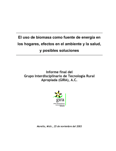 El uso de biomasa como fuente de energía