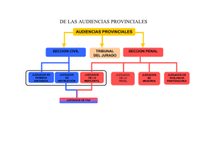 de las audiencias provinciales