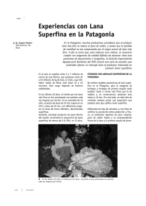 Experiencias con Lana Superfina en la Patagonia