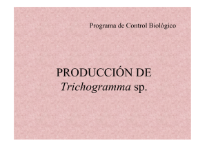 PRODUCCIÓN DE Trichogramma sp. - Ministerio de Agricultura y