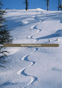 Report Making Process