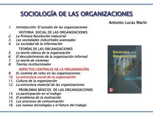 Estructuras en las organizaciones