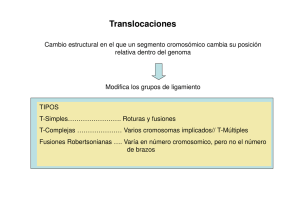 Translocaciones (archivo PDF)