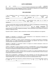 CARTA COMPROMISO CLAUSULAS DECLARACIONES