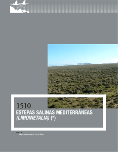 estepas salinas mediterráneas (LIMoNIETALIA)