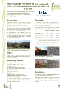 RECLUTAMIENTO Y REBROTE DE Ulex europaeus L