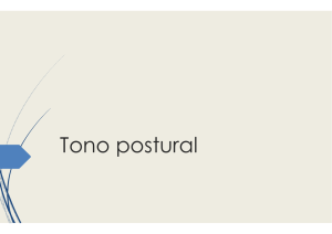 03.Tono postural