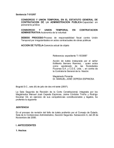 Sentencia T-512/07 CONSORCIO Y UNION TEMPORAL EN EL