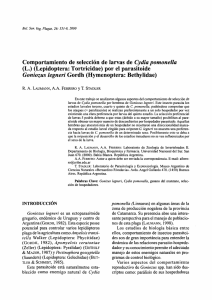 Comportamiento de selección de larvas de Cydia pomonella (L