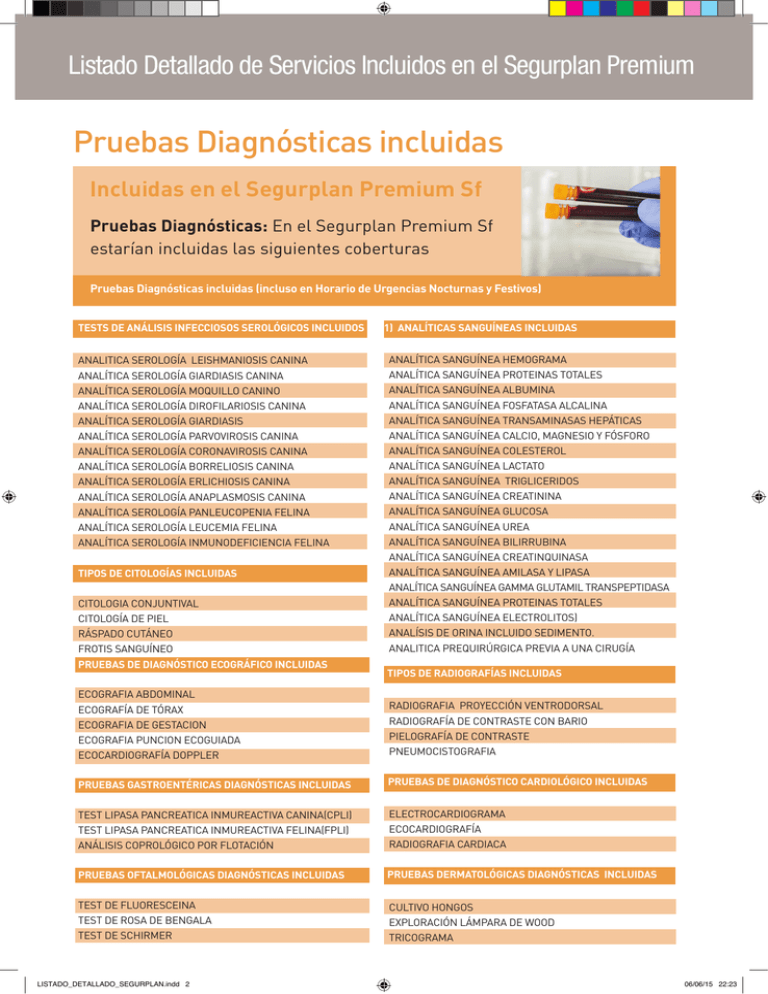 Pruebas Diagnósticas Incluidas