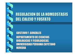 REGULACION DE LA HOMEOSTASIS DEL CALCIO Y FOSFATO