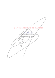 6. Forma canónica de matrices - Departamento de Matemática
