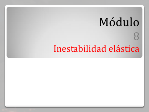 Módulo 8 Inestabilidad elastica