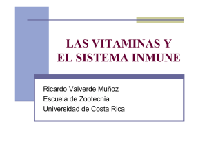 las vitaminas y el sistema inmune - Feednet