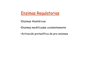 enzimas regulatorias, alostéricas