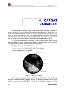 4. CARGAS VARIABLES
