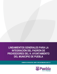 lineamientos generales para la integración del padrón de