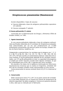 Streptococcus pneumoniae (Neumococo)