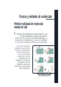 Técnicas y métodos de recolección