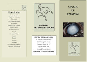 Cataratas - Hospital Veterinari Molins