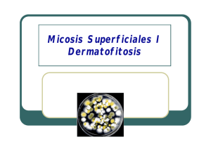 Micosis Superficiales I Dermatofitosis
